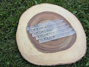 Modern Acrylic Plant Markers: Weather-resistant Garden Decor - Etsy