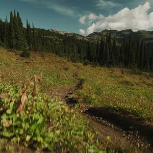 Efficient and Responsive. Fun and Fast. | Rocky Mountain Bicycles