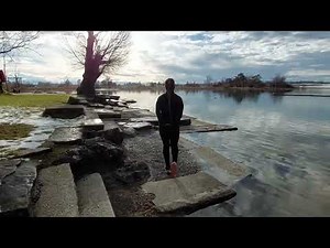 Subbi enjoys the beautiful lake in cuffs / Subbi geniesst gefesselt den Pfäffikersee - Wetzikon