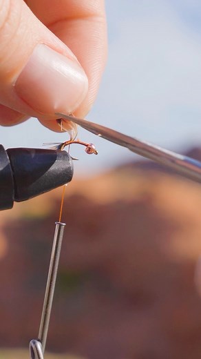 15 reactions | Where’s our fly fishers at?? Watch this tutorial on how make a fly you can use on your next trip! Or just sit back and relax for a minute or so 朗 Bob Ward’s has a great selection of gear, come check it out! . . . #flyfishing #waders #fishing #fly #gear #2022 #newstyles #summer2022 #bobwards #springsport #summersport #tackle #gear #ripsomelips #flytying | Bob Ward's Sports & Outdoors | Facebook