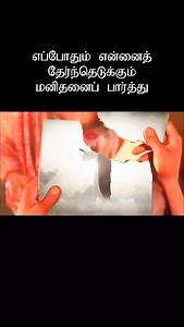 Mountain Movers on Reels