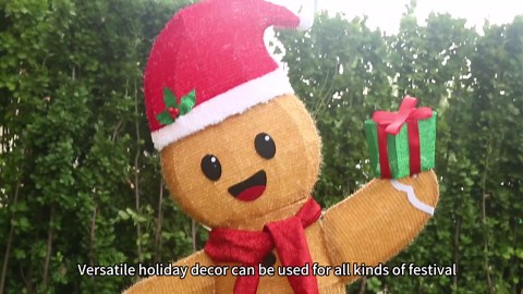 42" 3D Lighted Gingerbread Girl Outdoor Christmas Decorations 48In Light Up LED Gingerbread Decor Weather-Resistant Christmas Decor Outdoor with Ground Stakes & Zip Ties for Porch, Yard & Garden