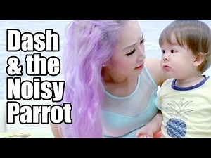 Baby Dash and the Noisy Parrot (1yr 6m)