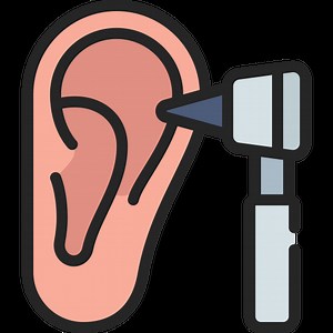 How Are The Inner Ear And Eye Conected Anatomy