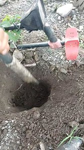 Wow! Huge gold nugget. #metaldetecting | GO finder