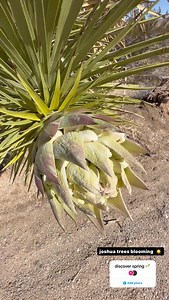 Nature Backs on Reels | Facebook