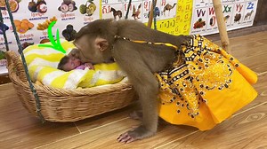 Judee With MotherIy Instinct, Tenderly Touch & Ksss Lil Newbrn | The Judy Family