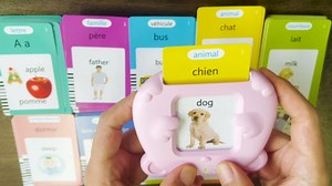 Bilingual Talking Flash Cards for Kids - Français French English Flashcards Children Adults, 510 Sight Words, ABC Alphabet, Pocket Speech for Toddlers, Audible Sensory Toys (French, Blue)