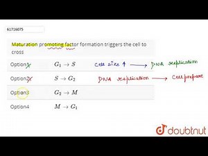 Maturation promoting factor formation triggers the cell to cross