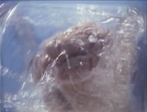 73K views · 382 reactions | NOW STREAMING on Night Flight Plus: BRAIN...