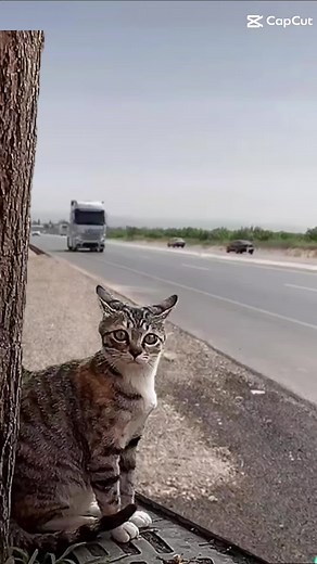 1853 ADR'Lİ BEYPOLATTIRPAZARI'NDAN 2023 #NİZİPGAZİANTEP #BEYPOLATTIRPAZARI #AXOR #1848 #actros1853 #beypolattirpazari