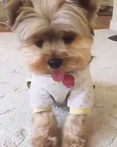 1.2K views · 108 reactions | Cuteness Overload | Women's choice | Facebook