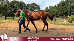 3.1K views | Province Courses/24H au trot on Reels | Facebook