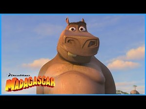 I Like Them Big 🦛 | Madagascar: Escape 2 Africa | DreamWorks Madagascar