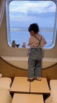 さんふらわあで子連れフェリー旅🛳️北海道一周 #shorts