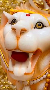 127K views · 10K reactions | The history of the camera spans several...