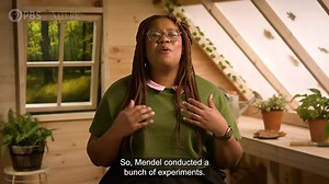 Gregor Mendel significantly advanced what we know about genetics, but we've learned A LOT since then, and we're still learning. Genetics are a lot more complicated than a simple matter of dominant and recessive! #botany #genetics #plants | CrashCourse