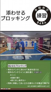 添わせるブロッキング【拳闘教室】