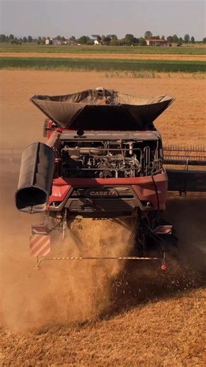 Case IH AF10 - una dintre cele mai puternice combine de recoltat cu rotor unic din industrie ______ Video: Riky Farmer | Titan Machinery România