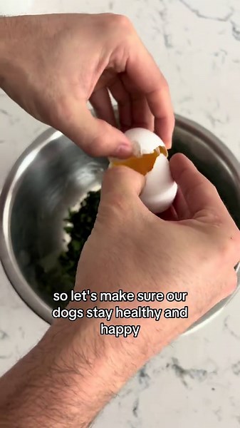 The Perfect Natural Remedy for Dogs with Bad Breath