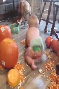 Funniest naughty babies make you laugh | Baby Awesome