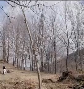 6.6K views · 502 reactions | De-aș ajunge cea mai mare slavă pămîntească în zadar, dacă-mi voi pierde slava mea cerească ce folos, ce folos slavă fără de Hristos! * Ce folos - Paula Hriscu Muzică- Paula Hriscu Versuri - Traian Dorz | Libraria Ortodoxia | Facebook