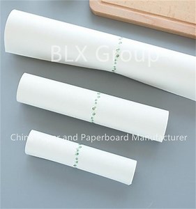 [Hot Item] Factory Price CAD Plotter Paper for Clothing Cutting Patterns