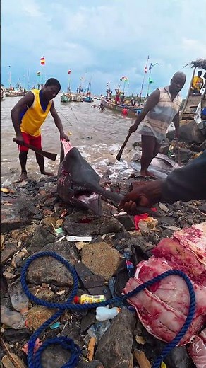 Traditional Way to Cut Swordfish