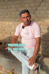 Buy a heifer for 85,000 ✅ 12-liter milk capacity heifer ready 🏆 Buffalo For Sale 👈🏻 Sandhu Dairy ...