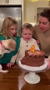 46K views · 53 reactions | Puppy Takes a Bite Out of Birthday Fun! A birthday cake becomes a puppy's playground in this funny moment! #fblifestyle #AI Generated using Kling AI . . . (For entertainment purposes only. Consult professionals if guidance on activities is presented. No brand affiliation is implied if any are shown. If inspired by true events, creative adaptations may be included. Content may include public footage.) | Fabiosa Belle | Facebook