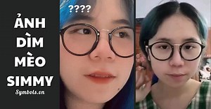 Ảnh Dìm Mèo Simmy Hài Hước [121  Ảnh Chế Mèo Simmy Cute]