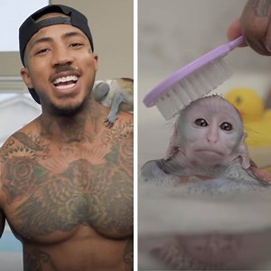 2.8M views · 358 reactions | This pet monkey lives the life I could only dream of!  | MagiQuiz | Facebook