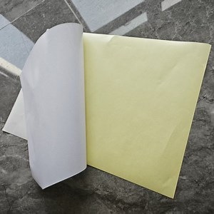 [Hot Item] Matte Coated Self Adhesive Sticker Paper