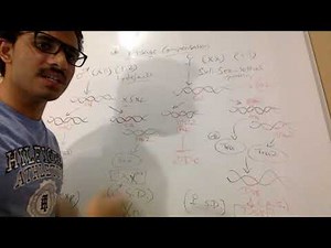 Dosage Compensation in Drosophila