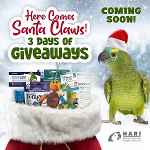  Ho, Ho, Ho! Get ready for a bird-tastic holiday with our Here...