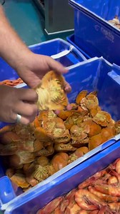 Fresh unload, back at the Tasman star fish market and ready to purchase for your dinner today. Prices locked in from today through till Easter Sunday. | Tasman Star Seafood Market