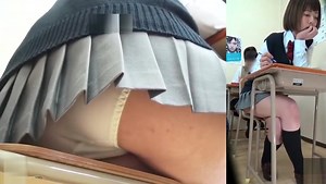 school of farts (18 )