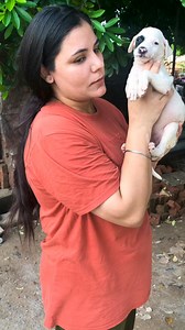 45K views · 3.7K reactions | My snowie my statue baby #puppy #puppies #puppylove #puppylovers #puppylife #dogmother #dogmom #dog #dogs #dogfood #doglife #doglover #doglovers #supportus #blessings #love #reels #viral #instareels #insta #instagram #fb #fbreels #fbreelsvideo #fbreelsfypシ゚viral | Bezubaanjaan1517 | Facebook