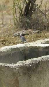 993K views · 18K reactions | İyiler çoğalıyor. | Hasan Hüseyin Kahrıman | Facebook