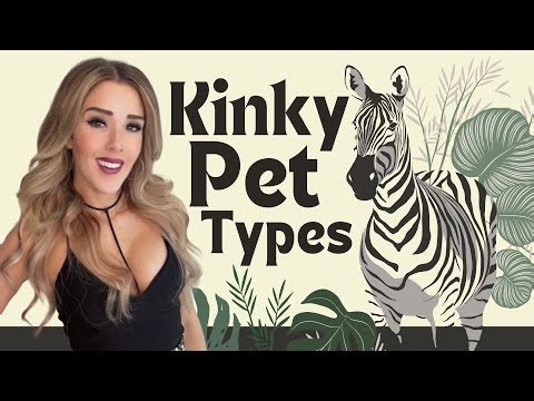 PET PLAY 101: Beginner's Guide to Petplay Kink and Pet Personalities (BDSM) | Ms. Elle X