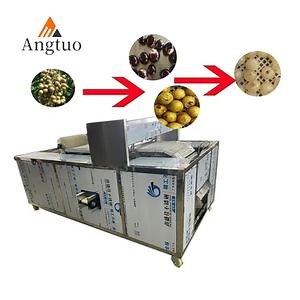 [Hot Item] Cherry Pitting Machine Auto Industrial Professional Electric Cherries Stone Pitter