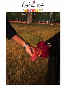 Itna Tujhy Piyar Dongi: Ek Pyaar Bhari Kahani