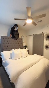 2.7M views · 124K reactions | Who Remembers The Conjuring Prank On Brandon 藍 #theconjuring #valakthenun #scary #prank | Destene and Brandon | Facebook