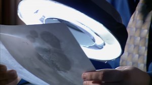 Forensic Files Window Watcher | True Crime Files