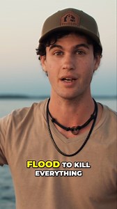 The Wild Brothers on Reels