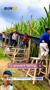 201K views · 522 reactions | Smart Sugarcane Field Care Before Harvest #sonlv_with_logo_banner | Vùng Đất Thú Vị | Facebook