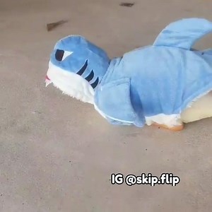 12K views · 473 reactions | Baby duck shark doo doo doo doo doo doo Baby duck shark doo doo doo doo doo doo 麗閭  IG @skip.flip | Cute Duck Old Page | Facebook