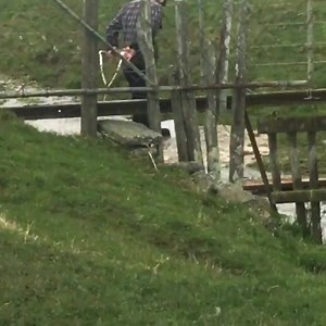 531K views · 9.2K reactions | When it’s hard to get away from the farm for a break, why not have a wake board comp in your own drain? #drainmasters Vid via the nzfarming insta and shot by @active_shooter_images A little snippet from today’s mischief. @colesimmons158 Style Is Everything! | NZ Farming | Facebook