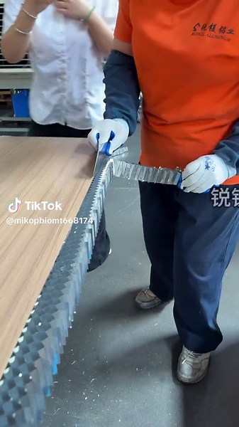 Video của Eidos Oregon (@mikopbiomt668174) với bản nhạc âm thanh gốc - Eidos Oregon