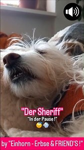 "Der Sheriff" 😴💨 "In der Pause !" (Magdeburg, Sachsen - Anhalt 🌎📍)